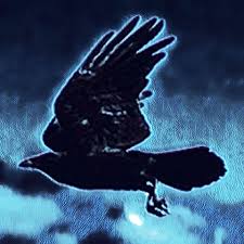 Profile for Kenny Blacklock