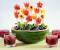 Competition Fruit Salad Decoration