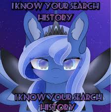 Luna is confronting you with your search history what would you say in  return? : rmylittlepony