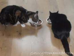 Homemade House Garden Crafts Savvy Homemade Homemade Cat Food Cat Food Diy Cat Food