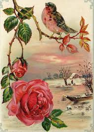 Look At The Birds Of The Air Esv Matthew 6 26 Esv 26 Look At The Birds Of The Air They Neither Sow Nor Reap Nor Gather Into Barns And Yet Your Illustration Blumen Zeichnen Vintage Blumen