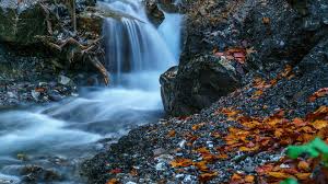 Ultra Hd Wallpapers 1080p 58 Images Dodowallpaper 4k Resolution Ultra Hd Nature 1920x1080 Download Hd Wallpaper Wallpapertip If you're looking for the best 4k nature wallpapers then wallpapertag is the place to be.