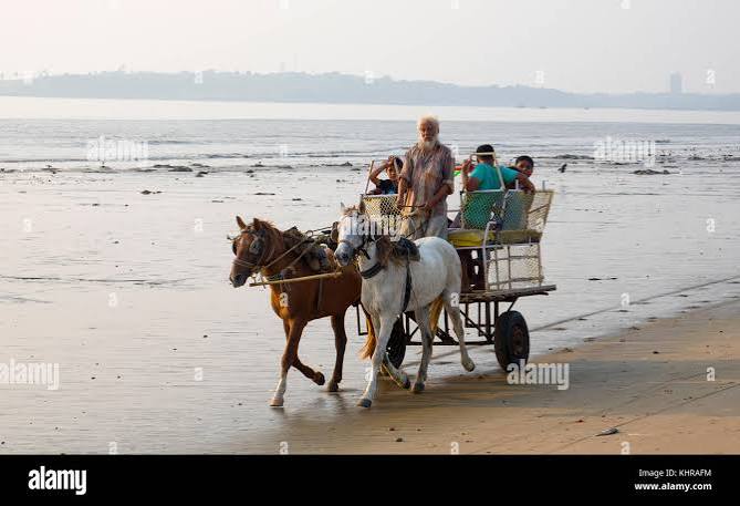 Horse cart mumbai india hi-res stock photography and images - Alamy