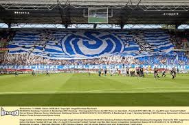 Der dringlichkeitsbeschluss dazu geht am montag durch den rat. Msv Duisburg Die Zebras In Blau Und Weiss Wp De