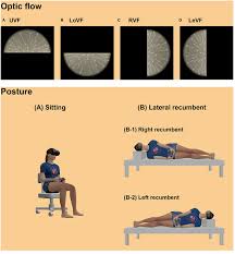 We did not find results for: Frontiers Roles Of The Retinotopic And Environmental Frames Of Reference On Vection Virtual Reality