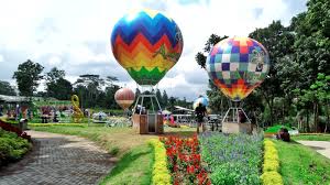 Ajak sahabat atau keluargamu untuk lakukan. Wisata Ke Alamanda Jogja Flower Garden Dimanja Warna Warni Balon Udara