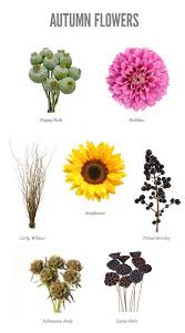 What flowers are best for fall wedding. Flowers Flowers Fall Flowers Wedding Flowers
