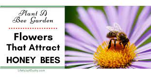 Check spelling or type a new query. Plant Flowers That Attract Bees Life Is Just Ducky
