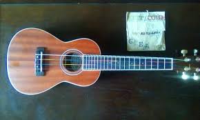 Quite a few fender ukes and a rogue ukulele for $10.50. Lanikai Lu22cgc Concert Ukulele In 2021 Ukulele Ukulele Design Concert