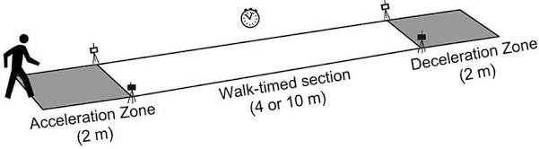 Gait speed assessment protocol measuring functional walking velocity, AI generated