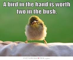 To fish in troubled waters. A Bird In The Hand Is Worth Two In The Bush By Mike Koehler Linkedin