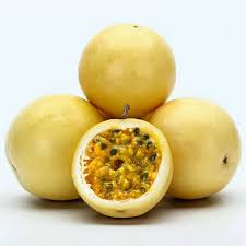 Dig a hole twice as wide and just as deep as the root ball, gently tease the roots, plant the vine and water well. Passion Fruits Plant From China Buy Passion Fruit Plant Grafted Passion Fruit Plants Passion Fruits Plant From China Product On Alibaba Com