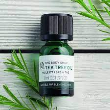 The Body Shop Christmas Offer Body Shop Tea Tree Oil Body Shop Tea Tree Oil Body Shop Tea Tree Tea Tree Oil For Acne