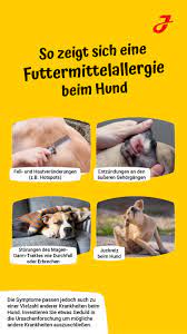Futtermittelallergie Unvertraglichkeit Hypoallergenes Hundefutter