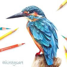 Maybe you would like to learn more about one of these? Kingfisher Bird Drawing Using Coloured Pencils I Loved Working On This Piece You Can Watch M Bird Drawings Kingfisher Bird Drawing Colored Pencil Artwork