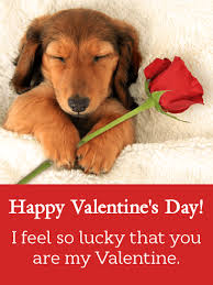 Kids valentine's cards are a perfect way for your little ones to make their friends, classmates, and teachers feel special. Valentines Day Dog Png Free Valentines Day Dog Png Transparent Images 56861 Pngio
