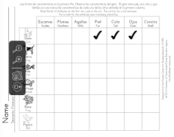 Vocabulary Spanish Semantic Feature Analysis Building Rti