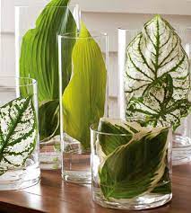 Su etsy trovi 130017 fiori in vaso in vendita, e costano in media € 33,87. Vasi Con Fiori E Piante Acquatiche
