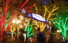 Besides, it also provides various offers of the busch gardens coupons christmas town and to surf all the. Holiday Lights At Christmas Town In Busch Gardens Family Friendly Tampa Bay
