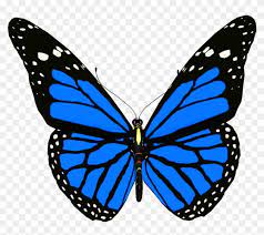 Free Free 63 Blue Butterfly Svg Free SVG PNG EPS DXF File