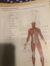 Morph = body, body form. Previous Question