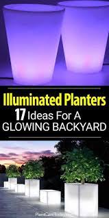 17 Illuminated Planters How To Make A Glowing Romantic Backyard Romantic Backyard Backyard Landscaping Backyard