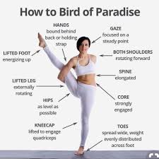 Bird Of Paradise Yoga Pose Modifications Todays Practice Is Working Towards Bird Of Paradise With Straps Warm Up Includes Hip Openers And Shoulder Stretches Sun How To Do Yoga Yoga Help Yoga Moves
