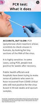 Covid19 and other laboratory test services. How Covid 19 Test Works Know The Basics World Gulf News
