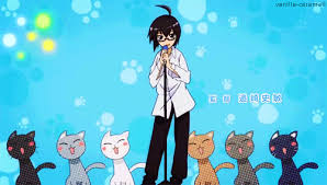 Cat Gif Find Share On Giphy Anime Anime Boy Anime Wallpaper
