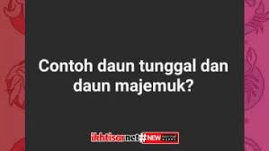 I didnt do anything for them, why do they say that? 224 Meaning Itu Apa Inilah Arti Angka 224 Ikhtisar Net