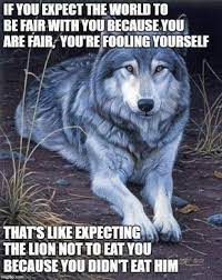 If You Expect The World To Be Fair With You Because You Are Fair You Re Fooling Yourself That S Like Expecting Th Lone Wolf Quotes Warrior Quotes Wolf Quotes