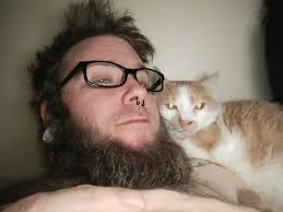 What is the current weight of your dog?