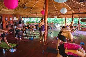 Which yoga is best for beginners?. Beginner S Yoga Top Tips For Starting Out Montezuma Yoga