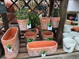Long Ash Garden Centre Yelverton Garden Center Contemporary Garden Garden Planters