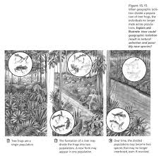 Natural selection is one of the basic mechanisms of evolution, along with mutation, migration, and darwin's grand idea of evolution by natural selection is relatively simple but often misunderstood. Natural Selection Vs Evolution Answers In Genesis