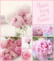 By Audrey T Cvety Kollazh Kartinki