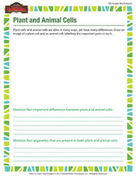 Check spelling or type a new query. Plant And Animal Cells Science Worksheet School Of Dragons