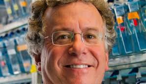 JACS retracts polymer paper over data concerns