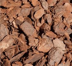 Check spelling or type a new query. Pine Bark Mulch 45ltr Bag Buy Online In Uae Green Souq Uae
