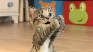 Lindo Gatito Solo En Casa Dibujos Animados Infantiles Juegos Videos Graciosos Youtube