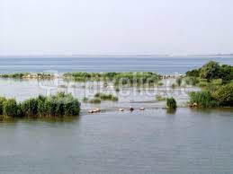 Zwischen 1858 und 1902 wurde er reguliert und sein strombett vertieft. Kostenloses Foto Mundung Der Donau Sulinaarm Ins Schwarze Meer Pixelio De