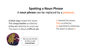 Noun phrases often function as verb subjects and objects, as predicative expressions and as the complements of prepositions. Https Arkconway Org Sites Default Files Year 204 20week 203 20day 204 20english Pdf
