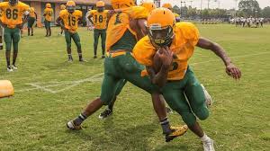 High School Football: Preseason capsules for teams in the Midlands