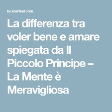La Differenza Tra Voler Bene E Amare Spiegata Da Il Piccolo Principe La Mente E Meravigliosa Il Piccolo Principe Amaro Mente