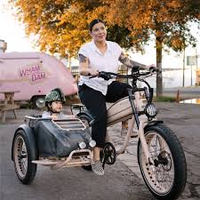 Image result for bicycle sidecar