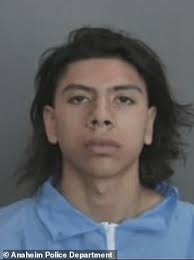 Teen, 18, who said he was a victim of a drive-by shooting while his friend  was shot dead is arrested