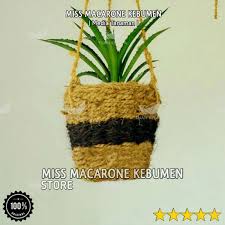 Seputar gambar bunga mawar merah, jenis bunga mawar merah yang sangat cantik, mawar ungu, mawar hitam putih, mawar layu, mawar kartun, mawar ungu, pink dsb. Pot Bunga Sabut Kelapa Gantung Variasi Ijuk Aren Hitam Terbaru Agustus 2021 Harga Murah Kualitas Terjamin Blibli