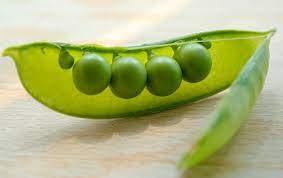 Maybe you would like to learn more about one of these? Are Peas A Starch Food Republic