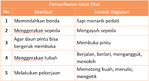 Jawaban halaman 39, 40 no 1 sampai 3. Kunci Jawaban Halaman 14 15 16 17 18 19 Tema 7 Buku Buku Pelajaran Belajar
