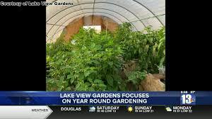 Find the best campgrounds & rv parks near cody, wyoming. Lake View Gardens Moving To Year Round Gardening With Greenhouses And Hydroponics